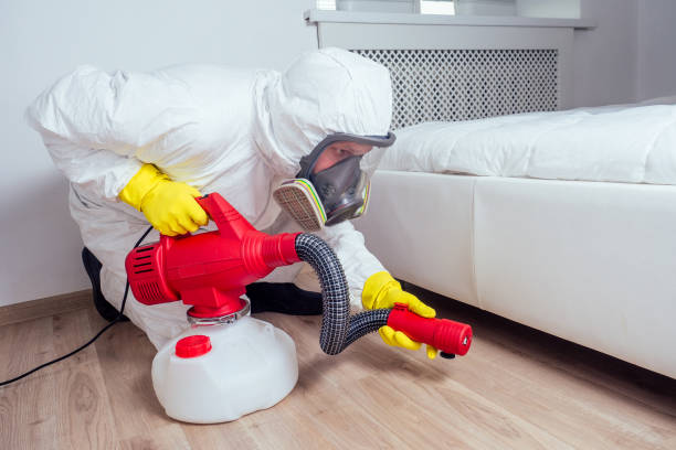 Best Pest Prevention Services  in California, PA